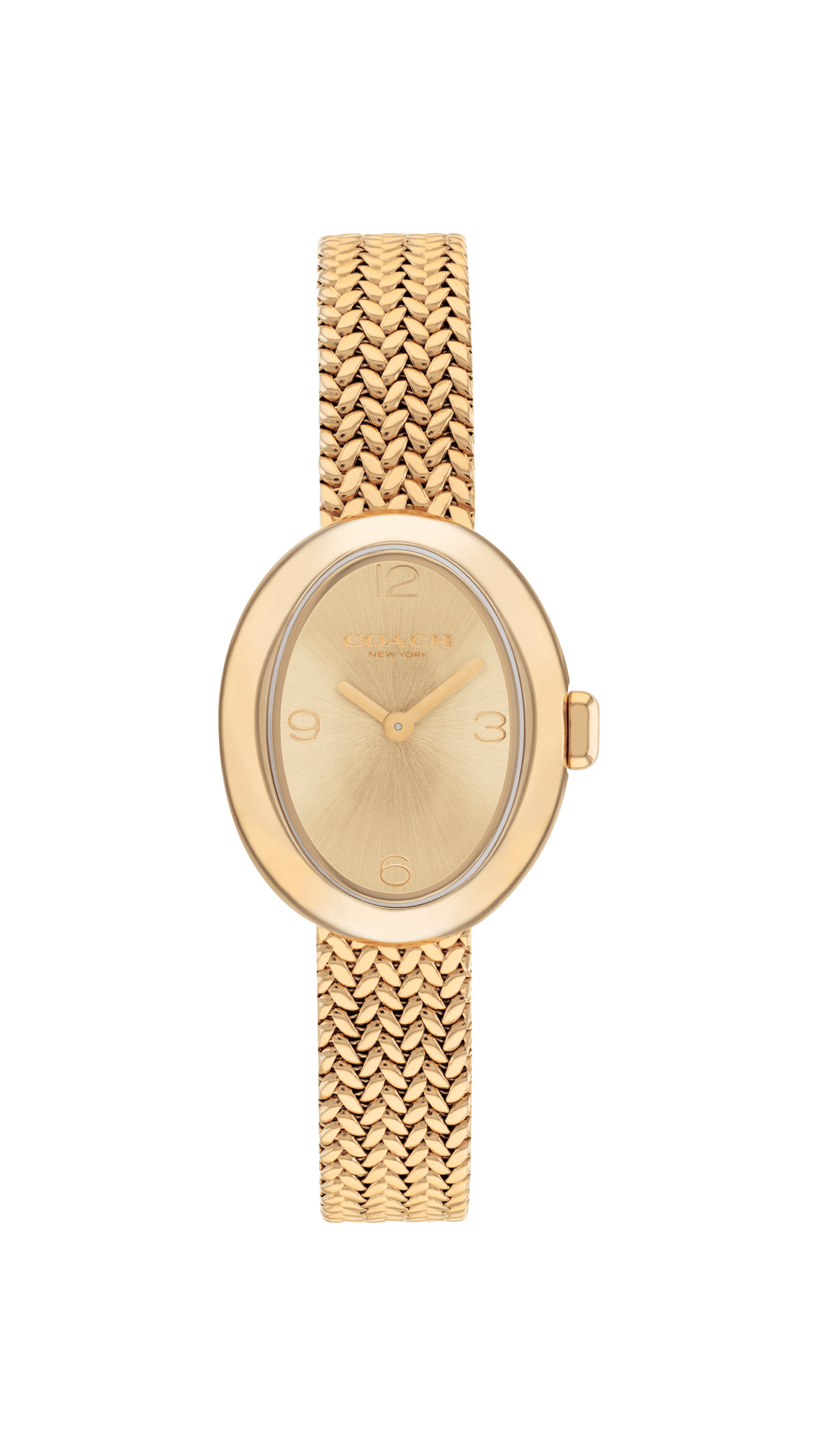 Coach Sammy Women's Watch